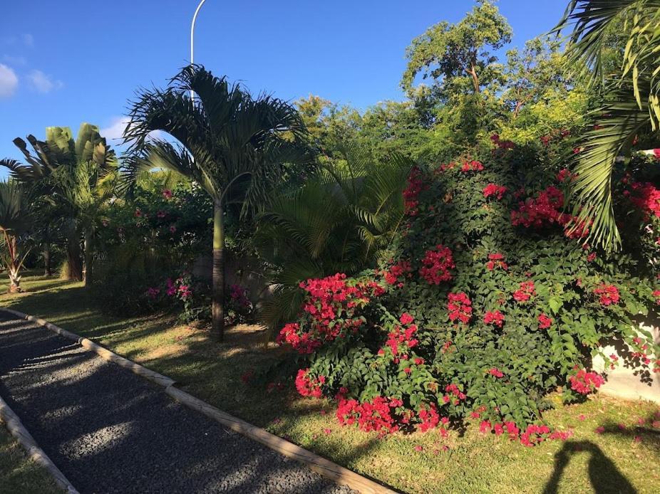 Villa La Belle Creole Saint-Francois  Eksteriør bilde